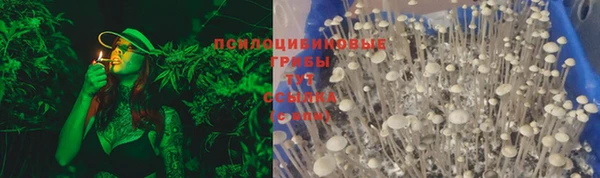 таблы Алзамай