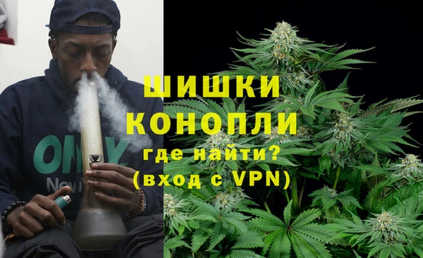шишки Алексин