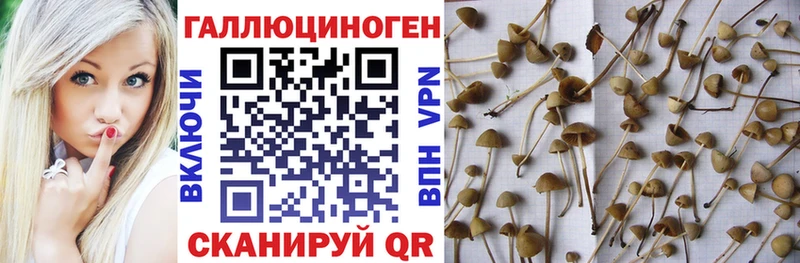 Галлюциногенные грибы Magic Shrooms  Брянск 